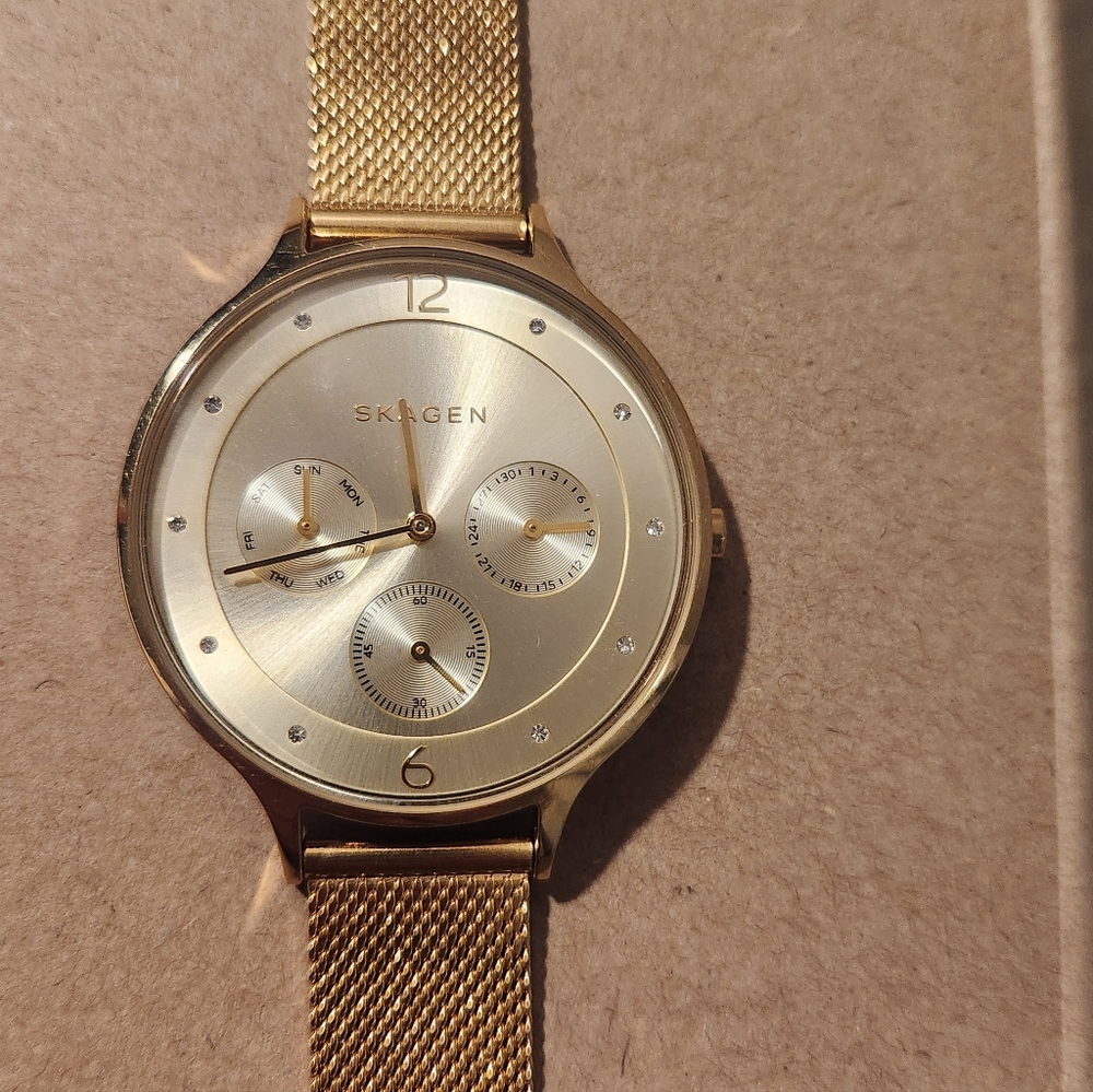 Skagen Wach **